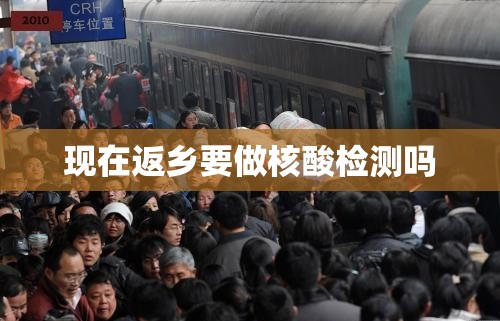 【现在返乡要做核酸检测吗,现在可以返乡回家吗】