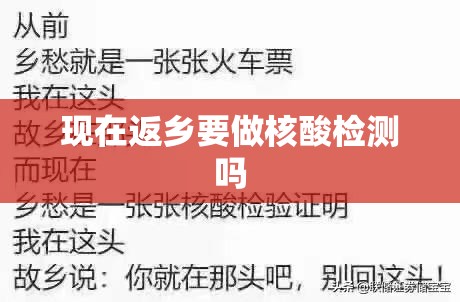 【现在返乡要做核酸检测吗,现在可以返乡回家吗】