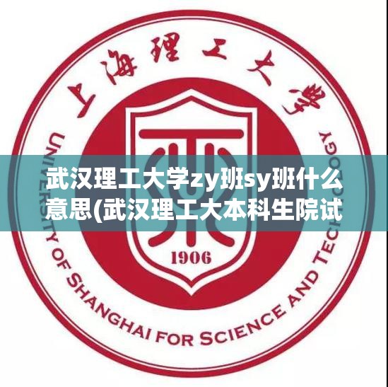 武汉理工大学zy班sy班什么意思(武汉理工大本科生院试点班) 武汉理工大学zy班sy班什么意思(武汉理工大本科生院试点班)