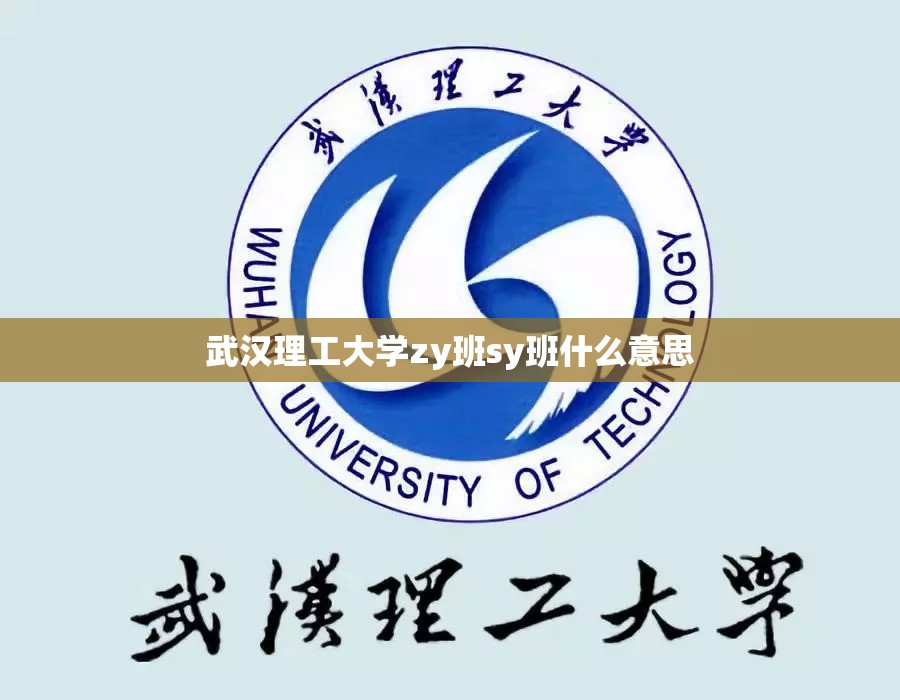 武汉理工大学zy班sy班什么意思(武汉理工大本科生院试点班) 武汉理工大学zy班sy班什么意思(武汉理工大本科生院试点班)
