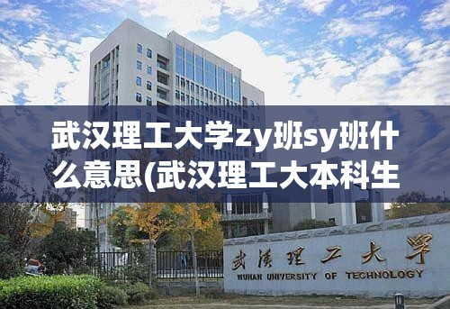 武汉理工大学zy班sy班什么意思(武汉理工大本科生院试点班) 武汉理工大学zy班sy班什么意思(武汉理工大本科生院试点班)