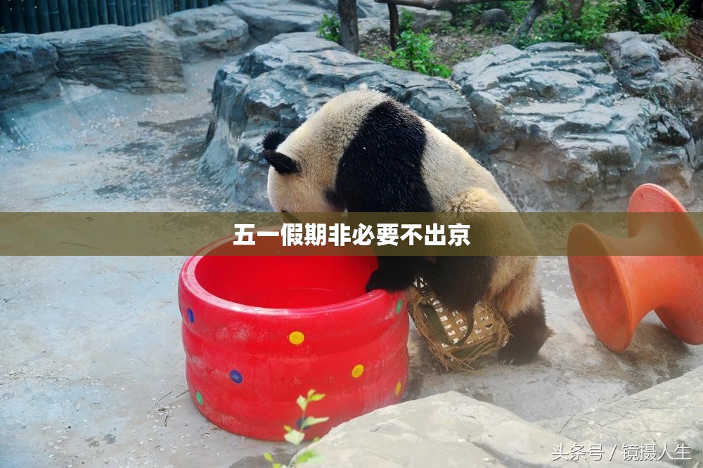 五一假期非必要不出京/北京非必要不出京是什么意思 五一假期非必要不出京/北京非必要不出京是什么意思