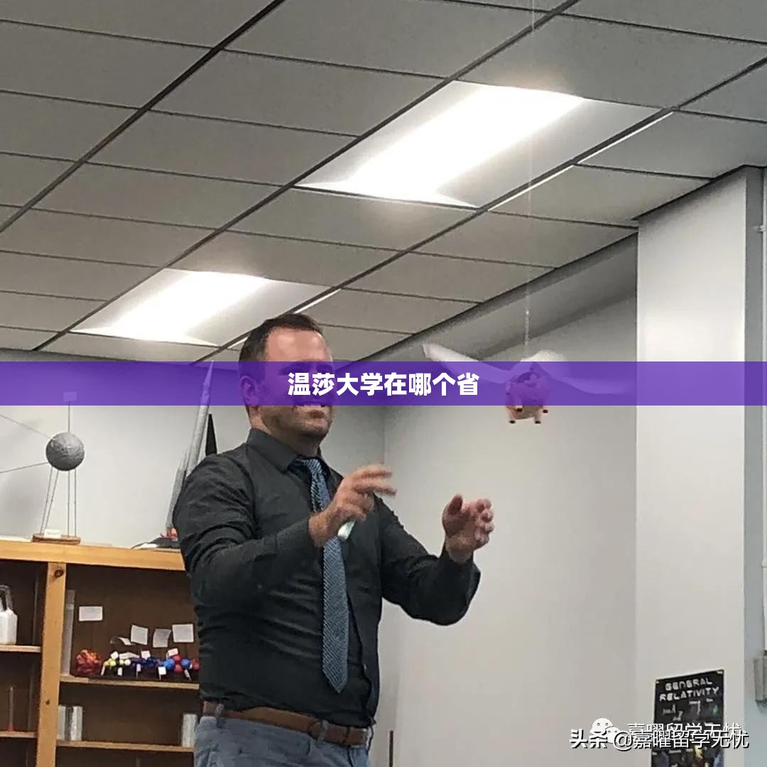 温莎大学在哪个省/温莎大学世界排名