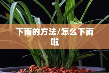 下雨的方法/怎么下雨啦 下雨的方法/怎么下雨啦