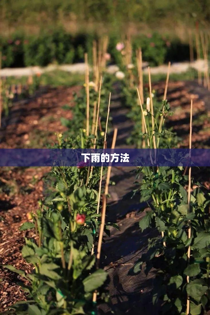 下雨的方法/怎么下雨啦 下雨的方法/怎么下雨啦