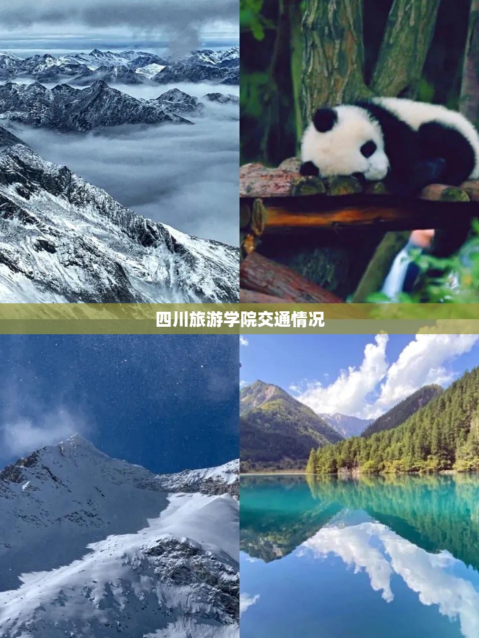 四川旅游学院交通情况/四川旅游学院校办电话 四川旅游学院交通情况/四川旅游学院校办电话