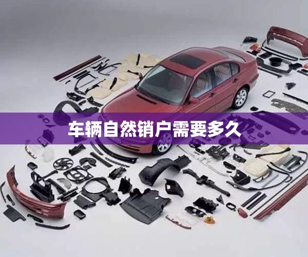 车辆自然销户需要多久/车辆自然销户需要多久完成 车辆自然销户需要多久/车辆自然销户需要多久完成