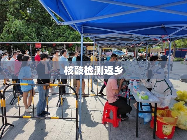 【核酸检测返乡,返乡人群】