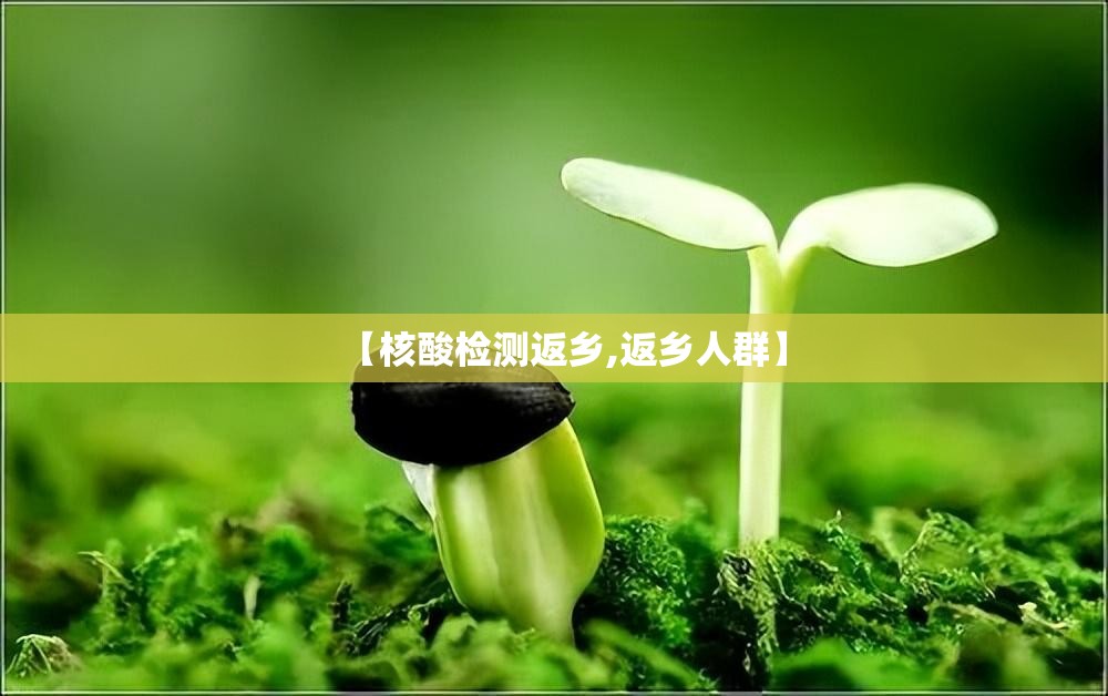 【核酸检测返乡,返乡人群】