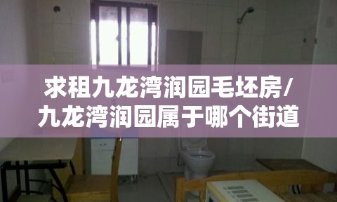 求租九龙湾润园毛坯房/九龙湾润园属于哪个街道