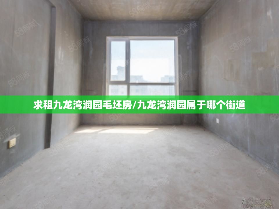 求租九龙湾润园毛坯房/九龙湾润园属于哪个街道
