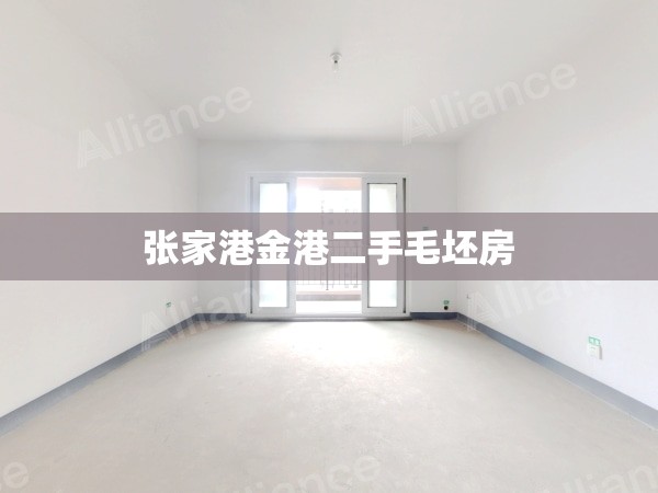张家港金港二手毛坯房(张家港金港镇二手房)