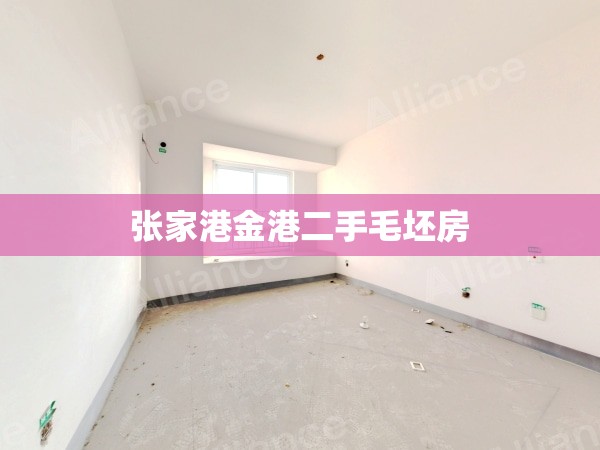 张家港金港二手毛坯房(张家港金港镇二手房)