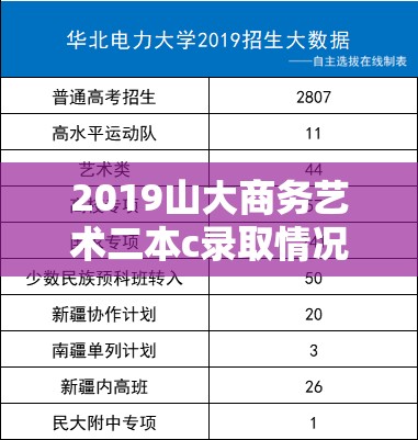 2019山大商务艺术二本c录取情况(山大商学院2026年分数)