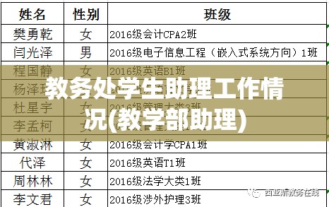 教务处学生助理工作情况(教学部助理)