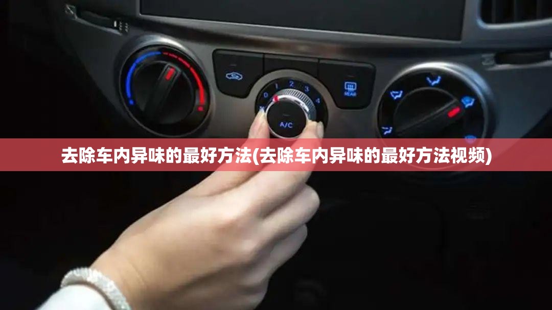 去除车内异味的最好方法(去除车内异味的最好方法视频)