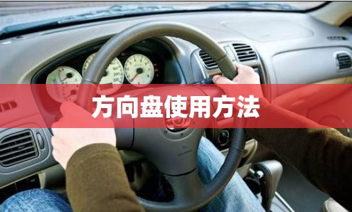方向盘使用方法/方向盘怎么使用视频 方向盘使用方法/方向盘怎么使用视频
