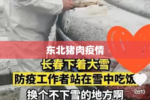 东北猪肉疫情(东北市场猪肉价格走势)
