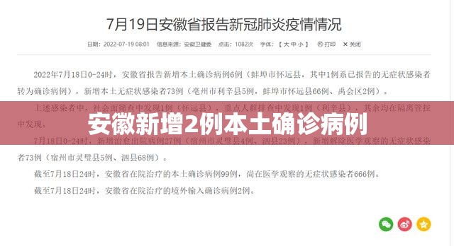 安徽新增2例本土确诊病例(安徽新冠最新消息) 安徽新增2例本土确诊病例(安徽新冠最新消息)