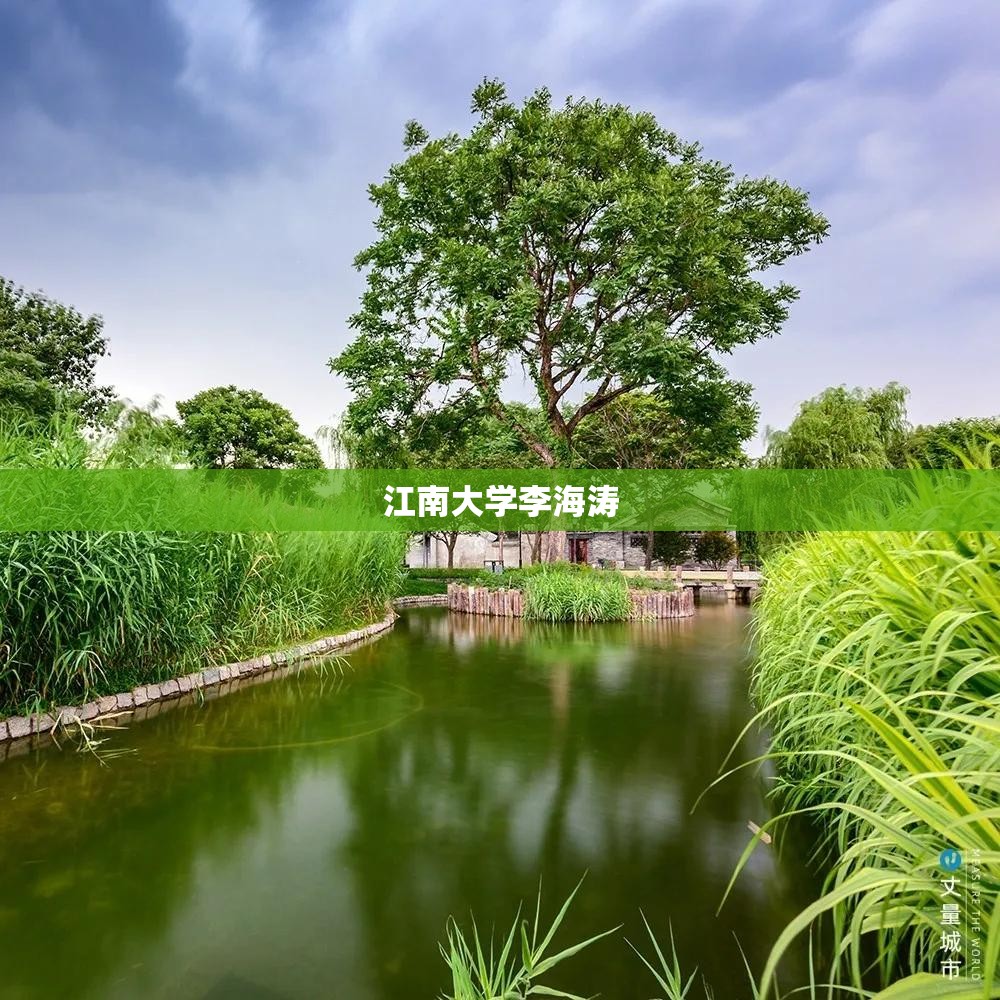 江南大学李海涛(江南大学李海涛老师)