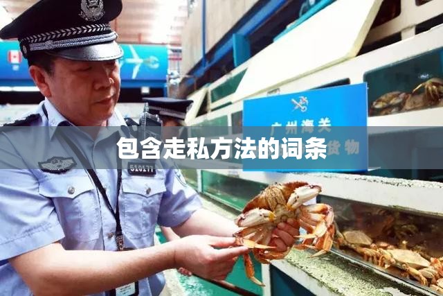 包含走私方法的词条 包含走私方法的词条