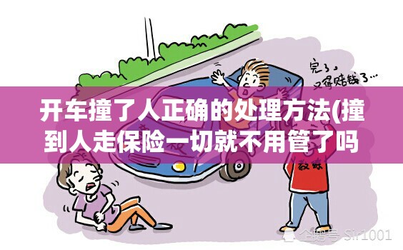 开车撞了人正确的处理方法(撞到人走保险一切就不用管了吗) 开车撞了人正确的处理方法(撞到人走保险一切就不用管了吗)