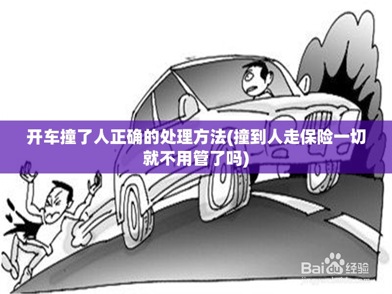 开车撞了人正确的处理方法(撞到人走保险一切就不用管了吗) 开车撞了人正确的处理方法(撞到人走保险一切就不用管了吗)