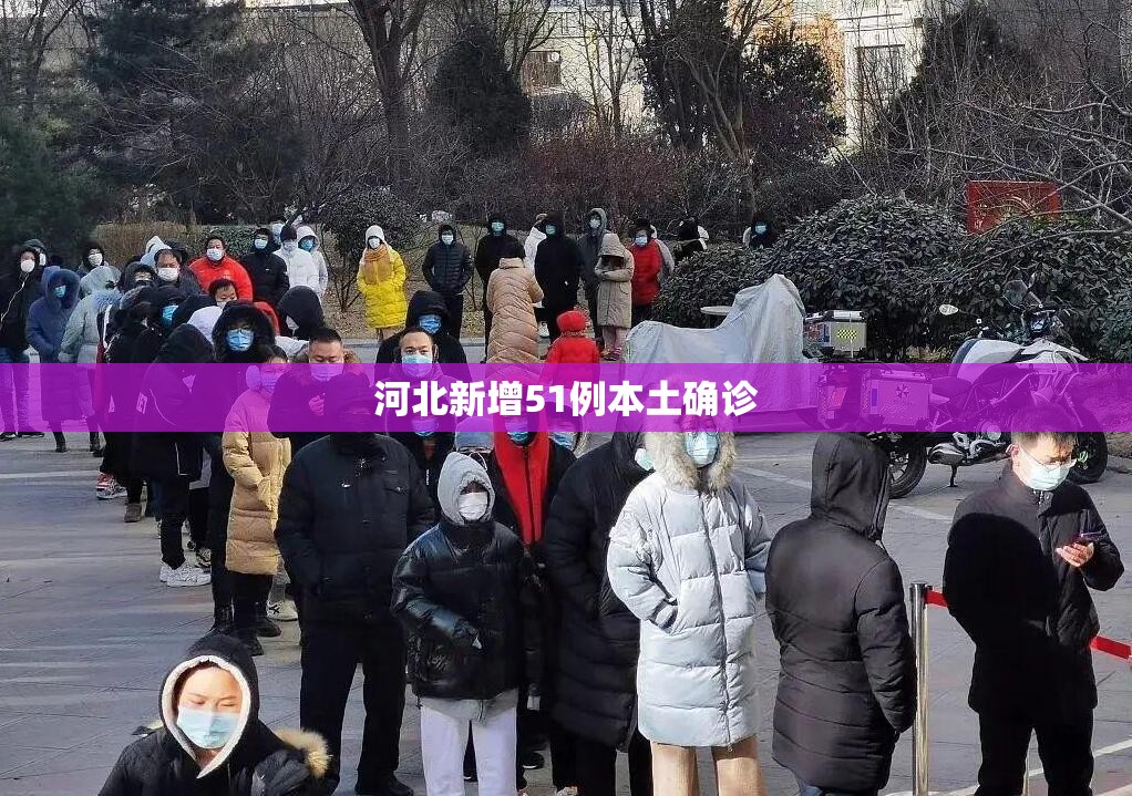 河北新增51例本土确诊/河北新冠疫情最新报告 河北新增51例本土确诊/河北新冠疫情最新报告