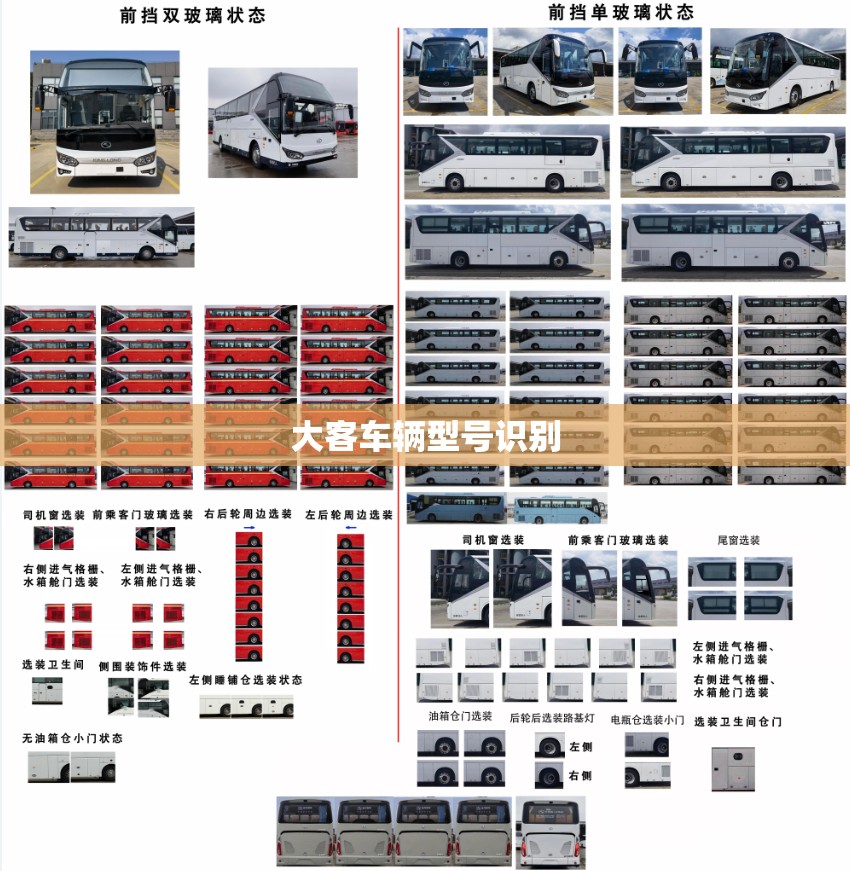 大客车辆型号识别(大众车辆识别代号查询) 大客车辆型号识别(大众车辆识别代号查询)