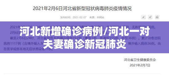 河北新增确诊病例/河北一对夫妻确诊新冠肺炎 河北新增确诊病例/河北一对夫妻确诊新冠肺炎