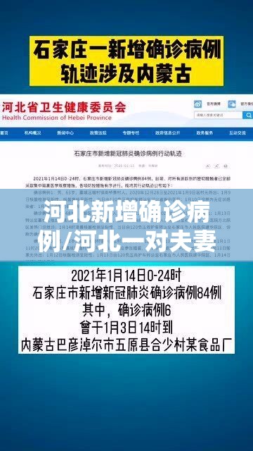 河北新增确诊病例/河北一对夫妻确诊新冠肺炎 河北新增确诊病例/河北一对夫妻确诊新冠肺炎