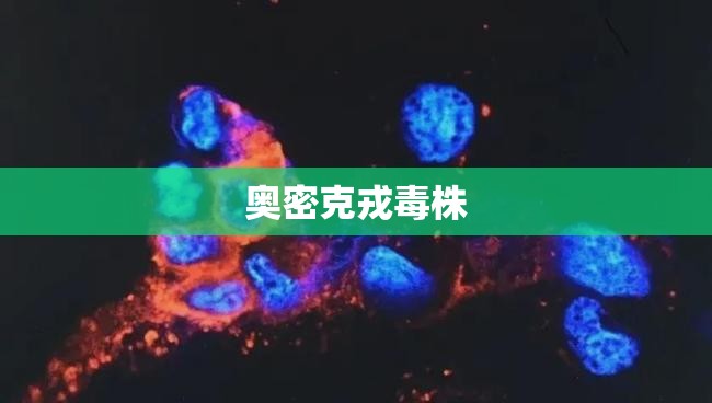 奥密克戎毒株(奥密克戎毒株出现) 奥密克戎毒株(奥密克戎毒株出现)