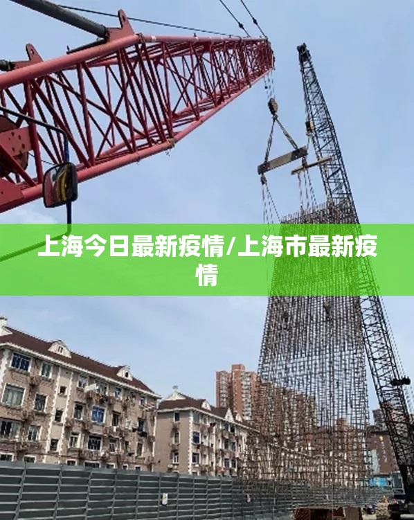 上海今日最新疫情/上海市最新疫情 上海今日最新疫情/上海市最新疫情