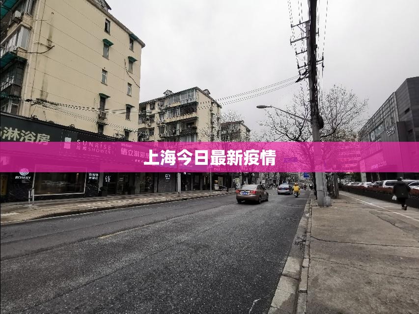 上海今日最新疫情/上海市最新疫情 上海今日最新疫情/上海市最新疫情
