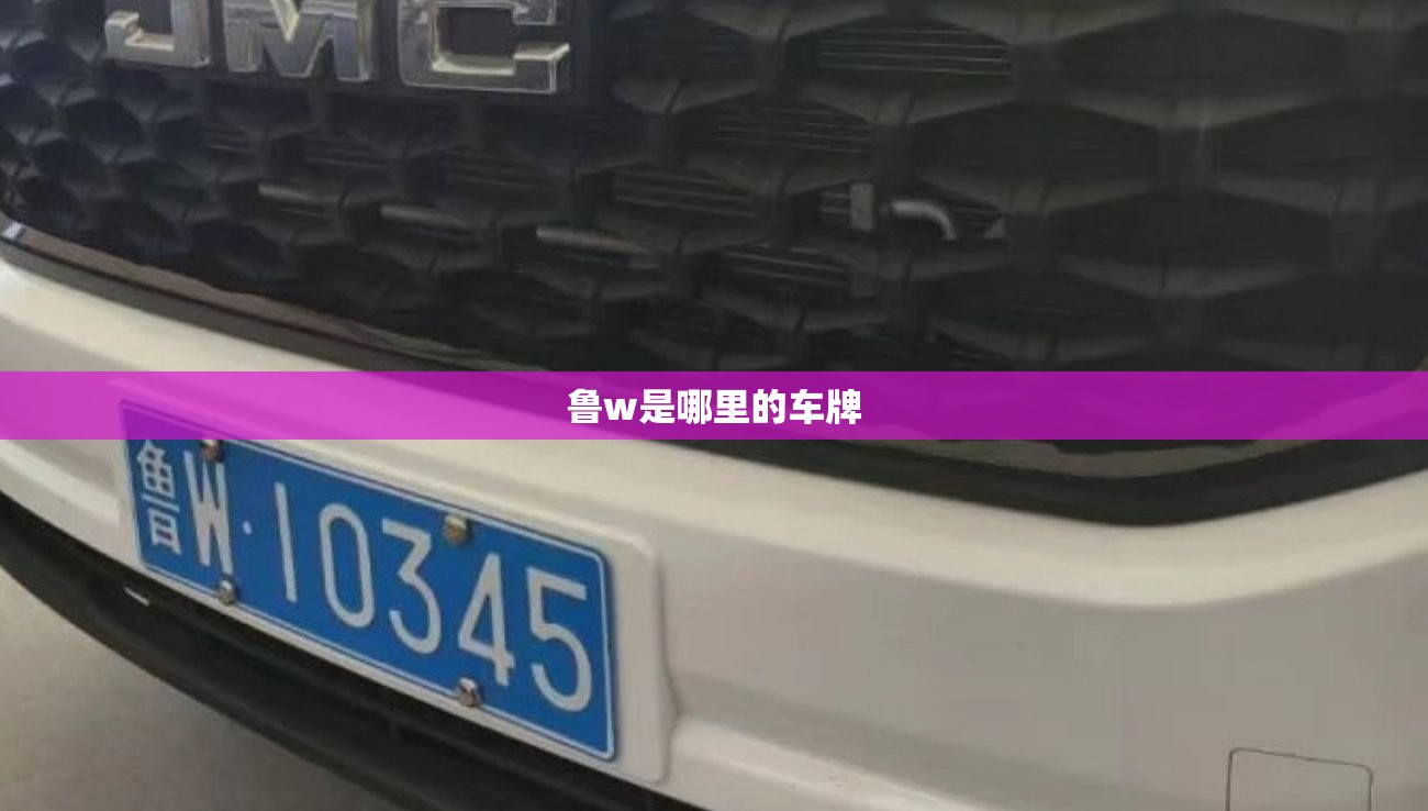 【鲁w是哪里的车牌,鲁W是那里的车牌】 【鲁w是哪里的车牌,鲁W是那里的车牌】