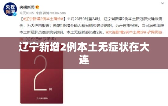辽宁新增2例本土无症状在大连(辽宁大连恢复供热) 辽宁新增2例本土无症状在大连(辽宁大连恢复供热)