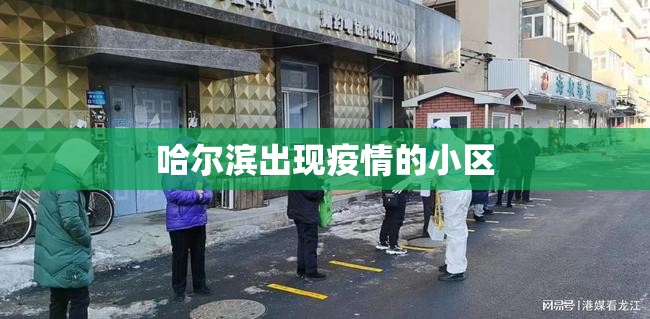 【哈尔滨出现疫情的小区,哈尔滨出现聚集性疫情反弹被约谈】 【哈尔滨出现疫情的小区,哈尔滨出现聚集性疫情反弹被约谈】