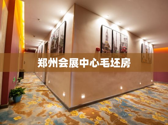 郑州会展中心毛坯房(郑州会展中心二期项目) 郑州会展中心毛坯房(郑州会展中心二期项目)
