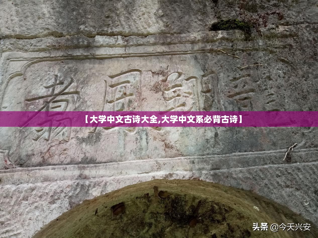 【大学中文古诗大全,大学中文系必背古诗】 【大学中文古诗大全,大学中文系必背古诗】
