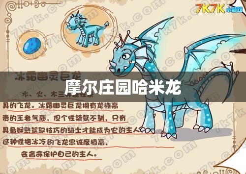 摩尔庄园哈米龙/摩尔庄园黑龙的诅咒 摩尔庄园哈米龙/摩尔庄园黑龙的诅咒