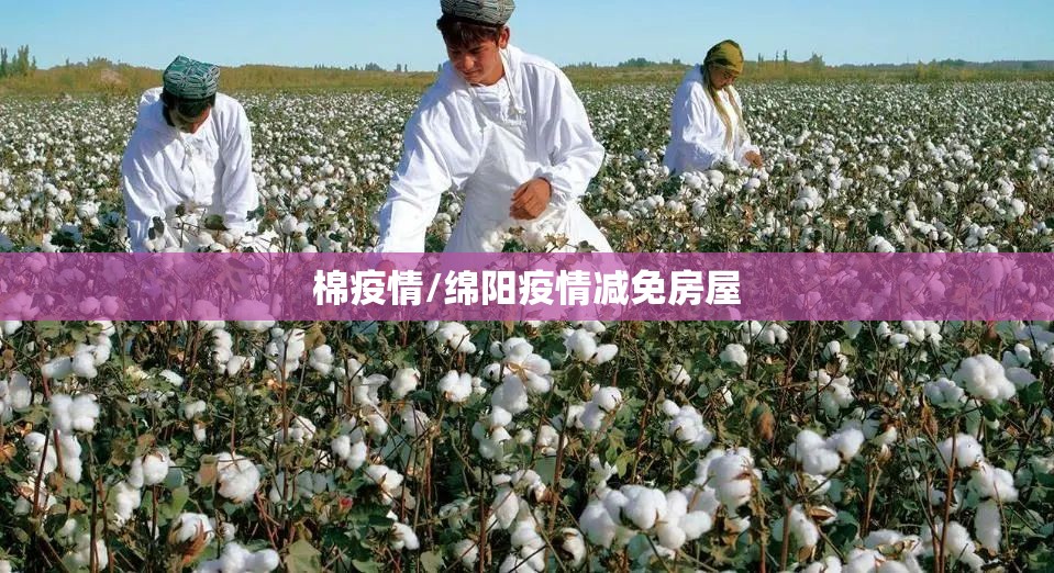 棉疫情/绵阳疫情减免房屋 棉疫情/绵阳疫情减免房屋