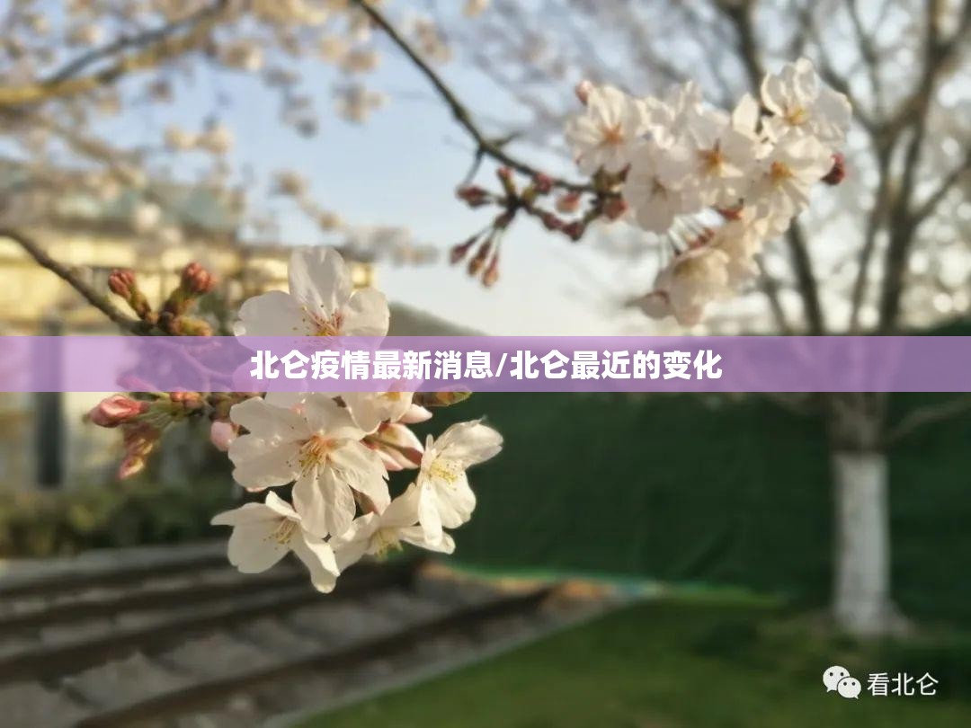 北仑疫情最新消息/北仑最近的变化 北仑疫情最新消息/北仑最近的变化