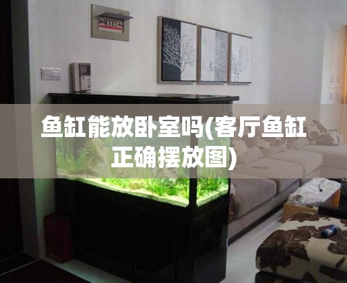 鱼缸能放卧室吗(客厅鱼缸正确摆放图) 鱼缸能放卧室吗(客厅鱼缸正确摆放图)