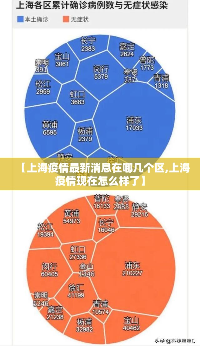 【上海疫情最新消息在哪几个区,上海疫情现在怎么样了】