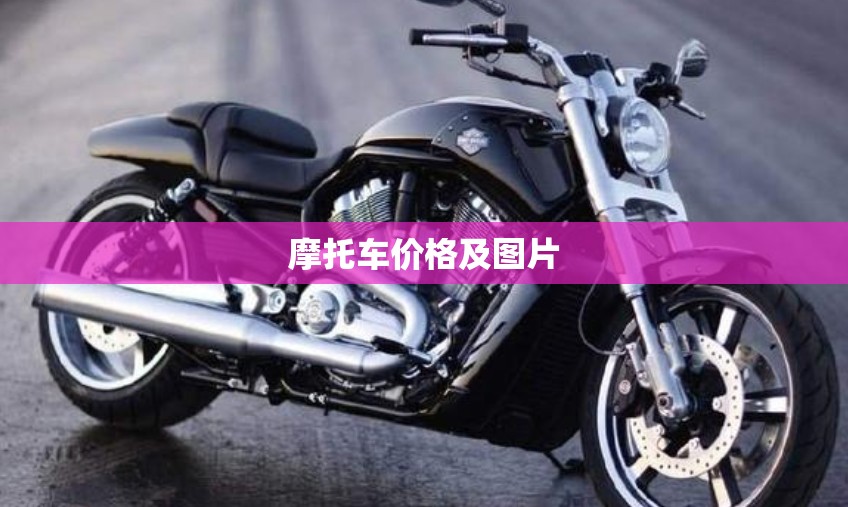 摩托车价格及图片/奔达摩托车价格及图片