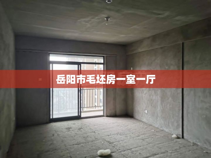 岳阳市毛坯房一室一厅(岳阳市毛坯房一室一厅价格) 岳阳市毛坯房一室一厅(岳阳市毛坯房一室一厅价格)