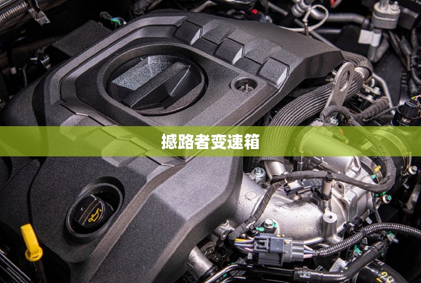 撼路者变速箱/撼路者变速箱油终身不换吗 撼路者变速箱/撼路者变速箱油终身不换吗