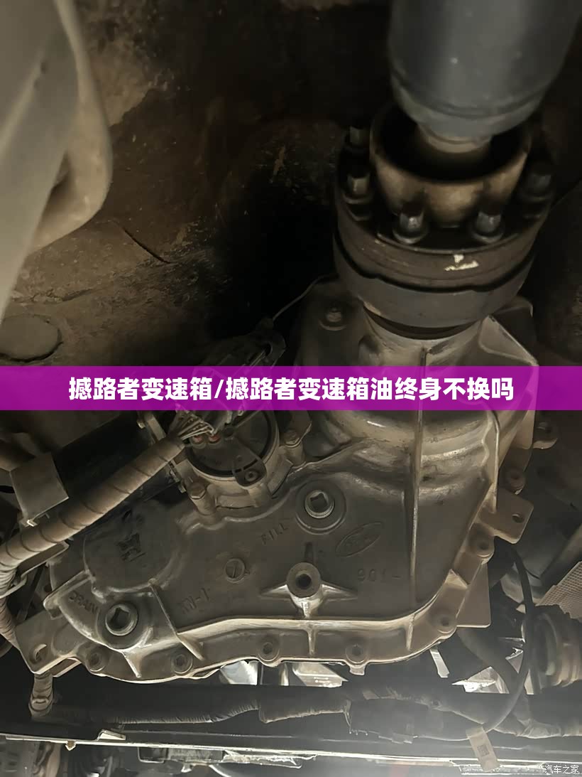 撼路者变速箱/撼路者变速箱油终身不换吗 撼路者变速箱/撼路者变速箱油终身不换吗