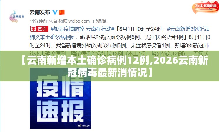 【云南新增本土确诊病例12例,2026云南新冠病毒最新消情况】 【云南新增本土确诊病例12例,2026云南新冠病毒最新消情况】