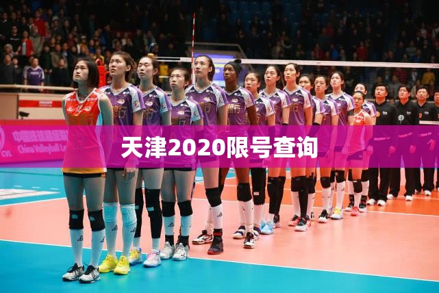 天津2020限号查询(天津限号2020限号表)